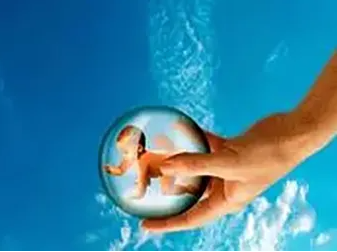 _ԹӤֲ̥ɹʶ_ֲ̥ܶǮ