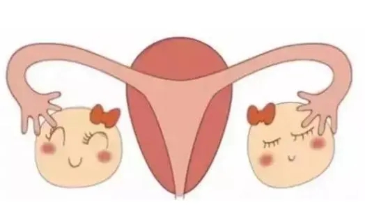ŴԼ׵֢״_ŴԼǲǸѿ_